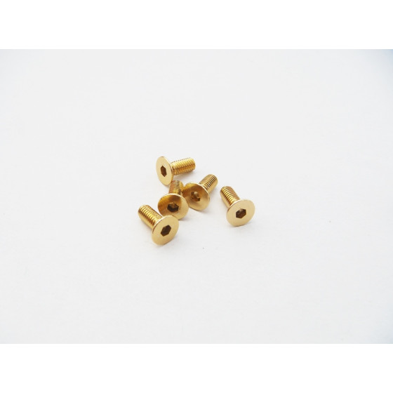 Hiro Seiko  Alloy Hex Socket Flat Head Screw M3x14  (4pcs | Gold)