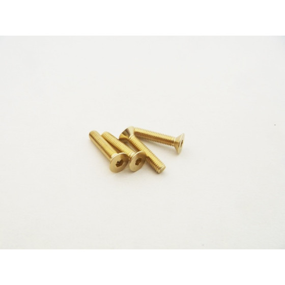 Hiro Seiko  Alloy Hex Socket Flat Head Screw M3x20  (4pcs | Gold)