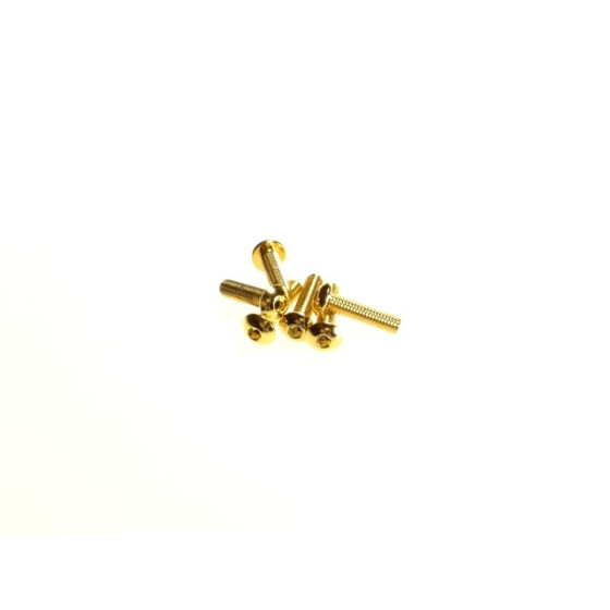 Hiro Seiko Hex Socket Button Head Screw M3x10  [24K_Gold] ( 6 pcs)